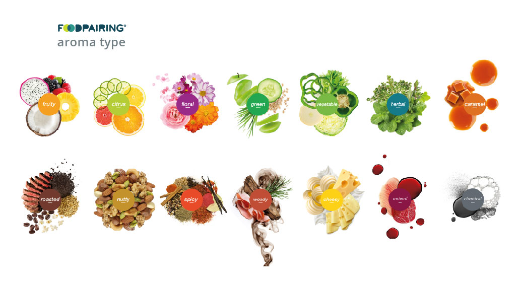 How To Interpret An Aroma Profile Foodpairing