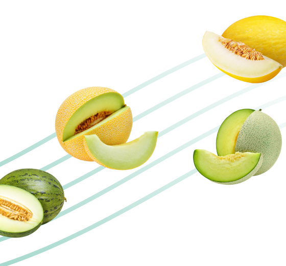 Melons pairings by Foodpairing